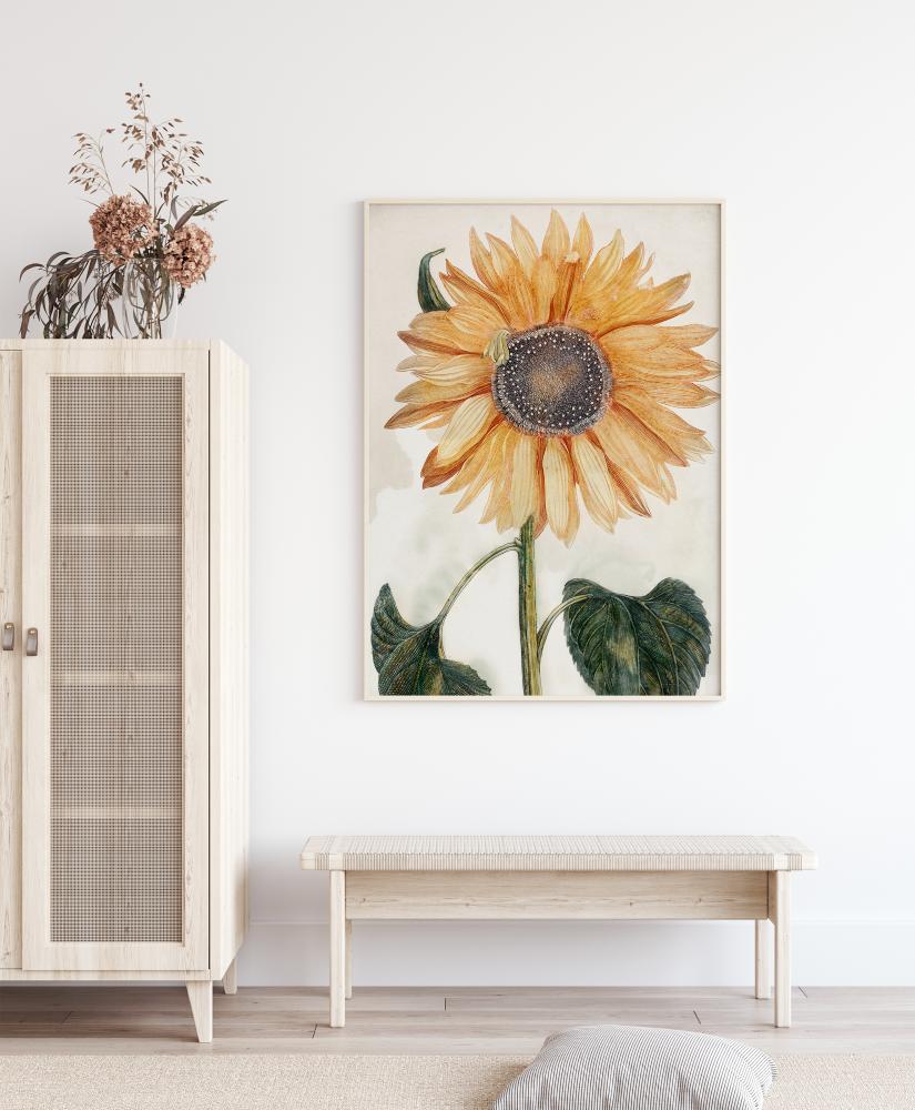 Sunflower Art Poszter