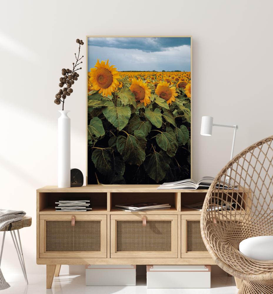 Sunflowers Poszter