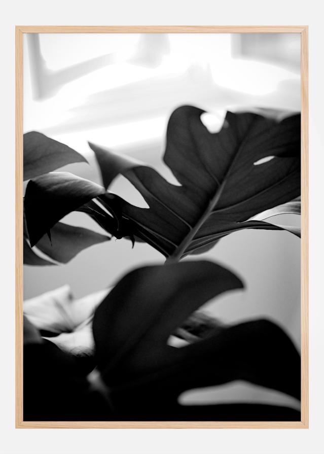 Monstera in Black and White l Poszter