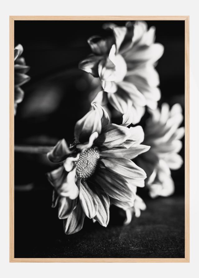 Black and White Flowers Poszter