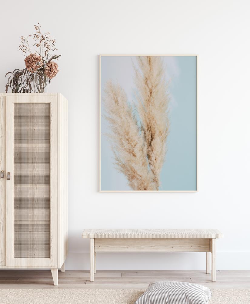 Pampas Grass Blue Poszter