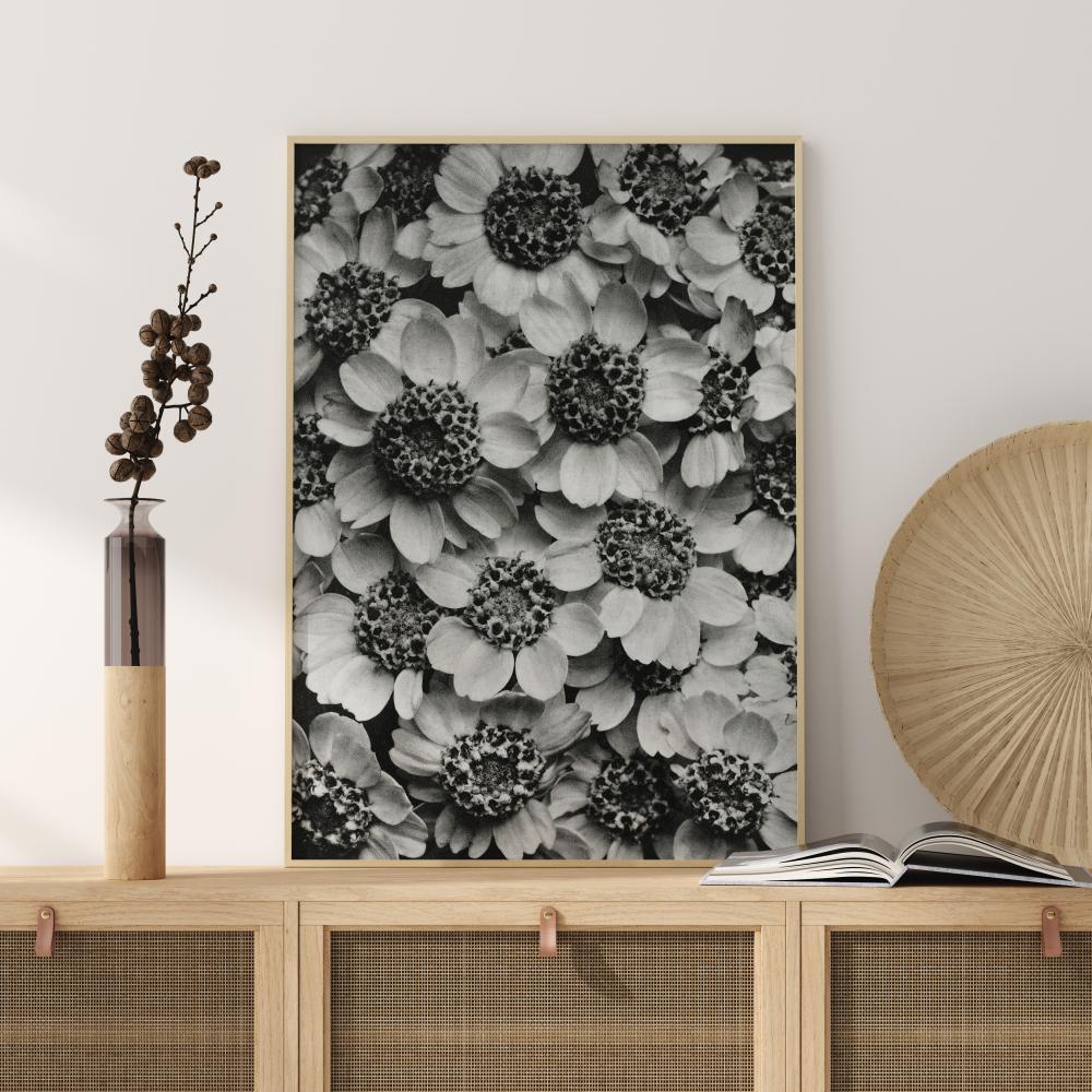 Black And White Flowers Poszter