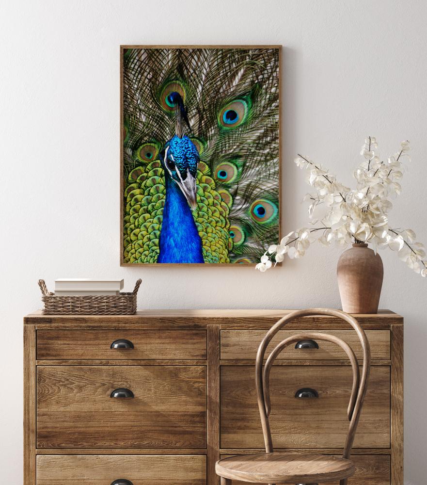 Peacock I Poszter