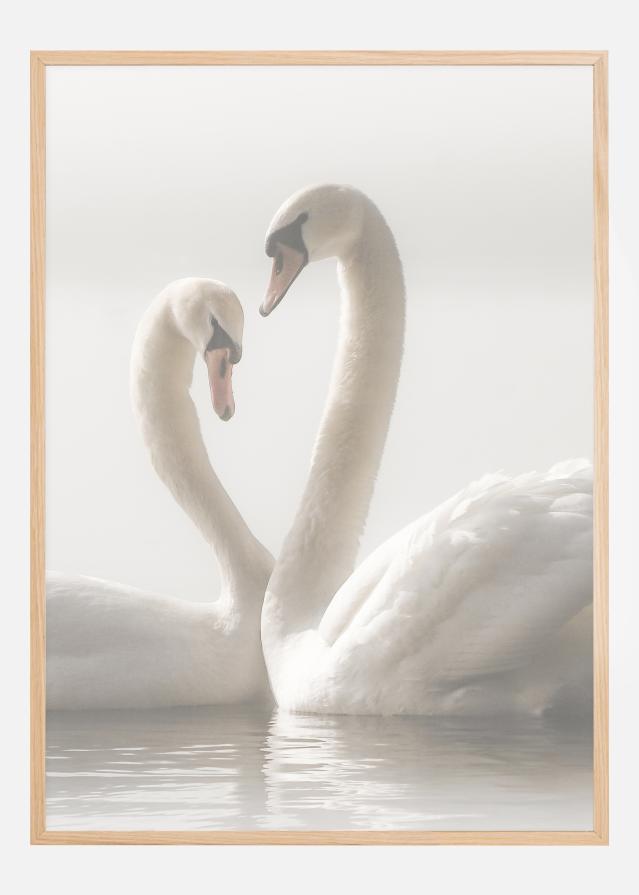 Swan Forever Poszter