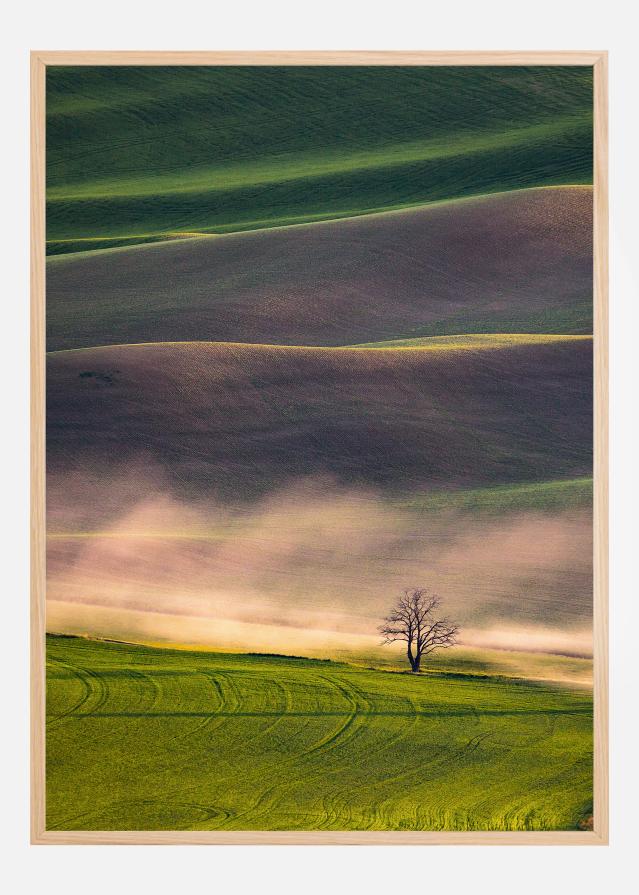 Sunset in Palouse Poszter