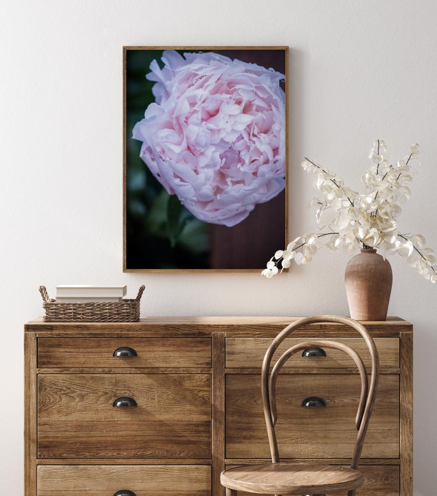 Peony I Poszter